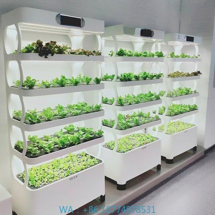Iydroponic Automated Grow Syst - Diy Home Automation System ulasan dan harga
