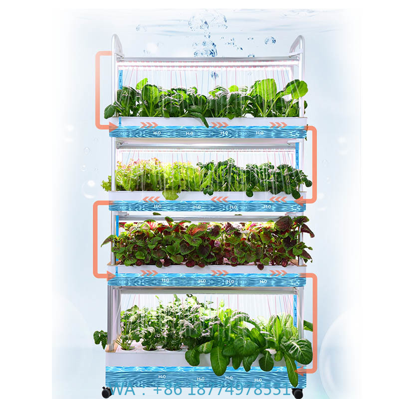 ydroponic Planting System Smar - Diy Home Automation System ulasan dan harga