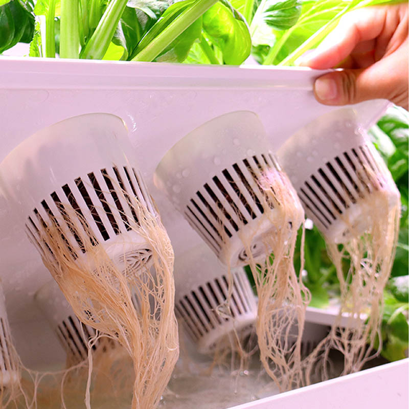 ydroponic Planting System Smar - Diy Home Automation System ulasan dan harga