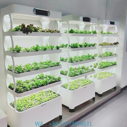 Hydroponic Automated Grow Syst - Diy Home Automation System ulasan dan harga